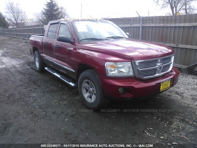 1D7HW58N78S633695 - 2008 DODGE DAKOTA QUAD LARAMIE RED photo 1