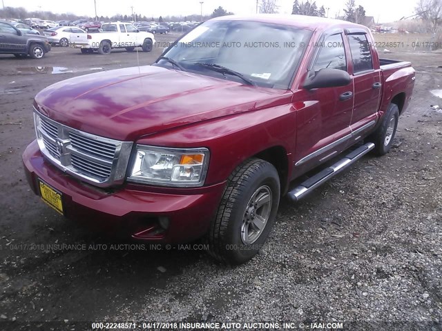 1D7HW58N78S633695 - 2008 DODGE DAKOTA QUAD LARAMIE RED photo 2