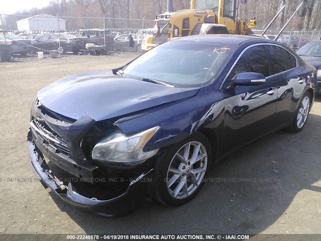 1N4AA51EX9C815879 - 2009 NISSAN MAXIMA S/SV BLUE photo 2