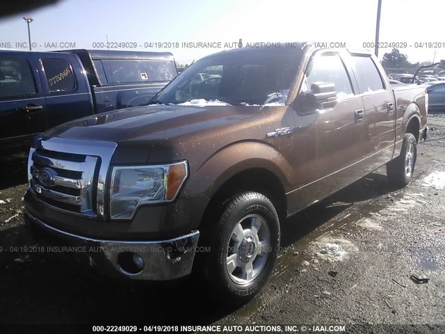 1FTEW1CM5BKD62406 - 2011 FORD F150 SUPERCREW BROWN photo 2