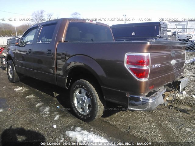 1FTEW1CM5BKD62406 - 2011 FORD F150 SUPERCREW BROWN photo 3