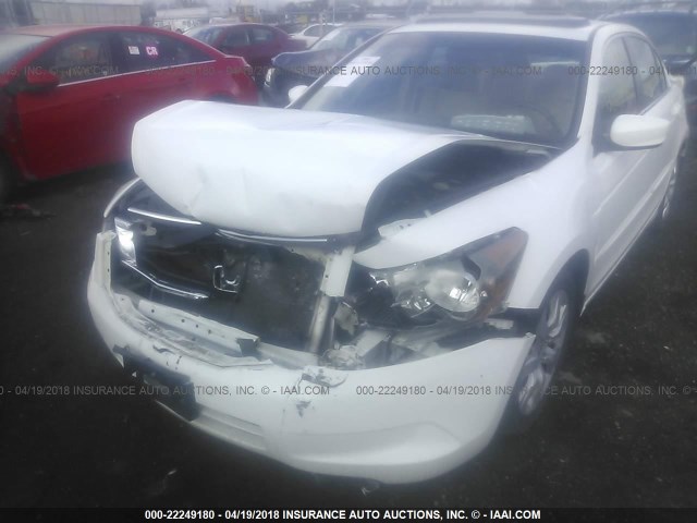 1HGCP26838A111585 - 2008 HONDA ACCORD EXL WHITE photo 6