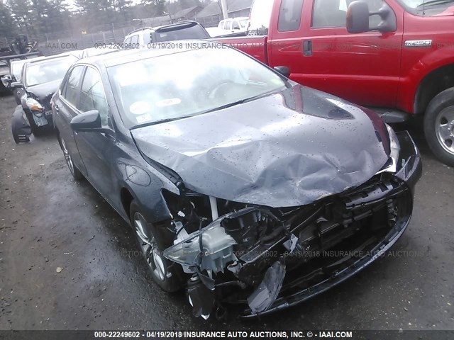 4T1BF1FK0HU752562 - 2017 TOYOTA CAMRY LE/XLE/SE/XSE GRAY photo 1