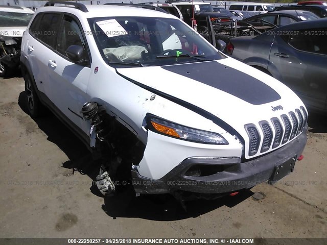 1C4PJMBX1JD599224 - 2018 JEEP CHEROKEE TRAILHAWK WHITE photo 1