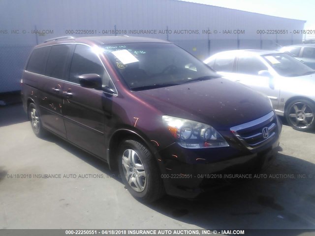 5FNRL38697B429545 - 2007 HONDA ODYSSEY EXL მუქწითელი ფოტო 1