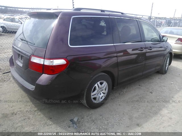 5FNRL38727B082343 - 2007 HONDA ODYSSEY EXL იასამნისფერი ფოტო 4