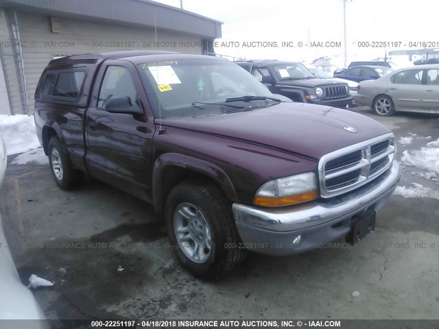 1D7FL46X43S326816 - 2003 DODGE DAKOTA SLT MAROON photo 1