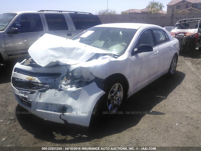 1G1ZA5E03CF383629 - 2012 CHEVROLET MALIBU LS თეთრი ფოტო 2