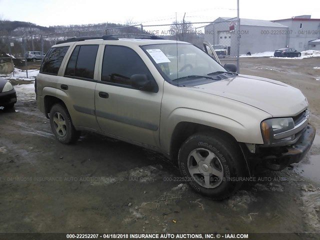 1GNDT13SX52291105 - 2005 CHEVROLET TRAILBLAZER LS/LT GOLD photo 1