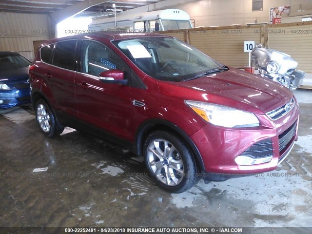 1FMCU0HX5DUC60438 - 2013 FORD ESCAPE SEL BURGUNDY photo 1