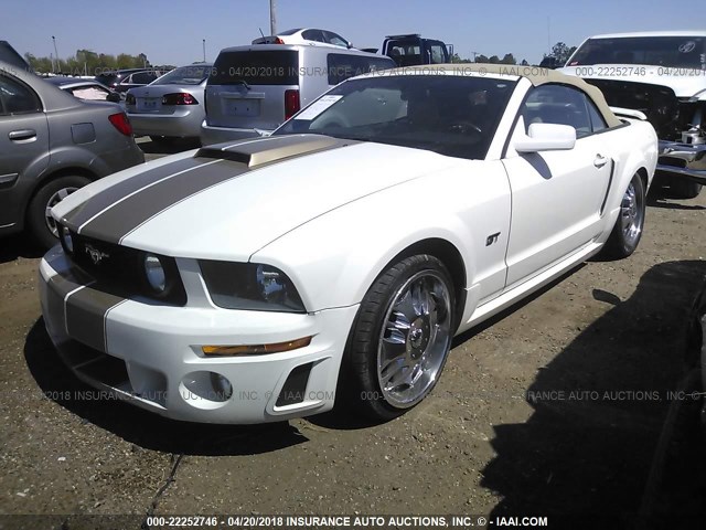 1ZVFT85H955182609 - 2005 FORD MUSTANG GT WHITE photo 2