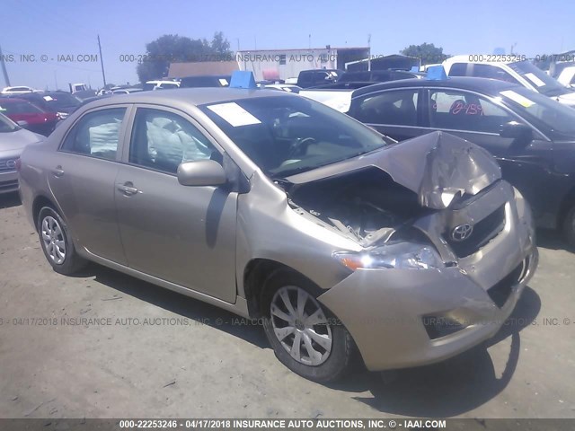 2T1BU4EE4AC314623 - 2010 TOYOTA COROLLA S/LE/XLE GOLD photo 1