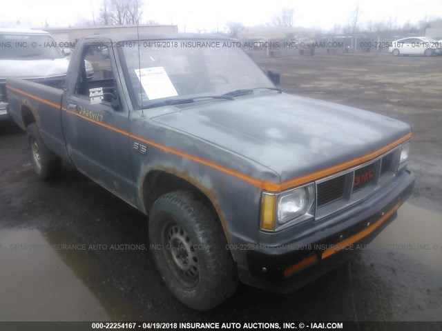 1GTCT14R2G2507130 - 1986 GMC S TRUCK S15 GRAY photo 6