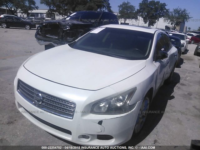 1N4AA5AP0AC865793 - 2010 NISSAN MAXIMA S/SV WHITE photo 2