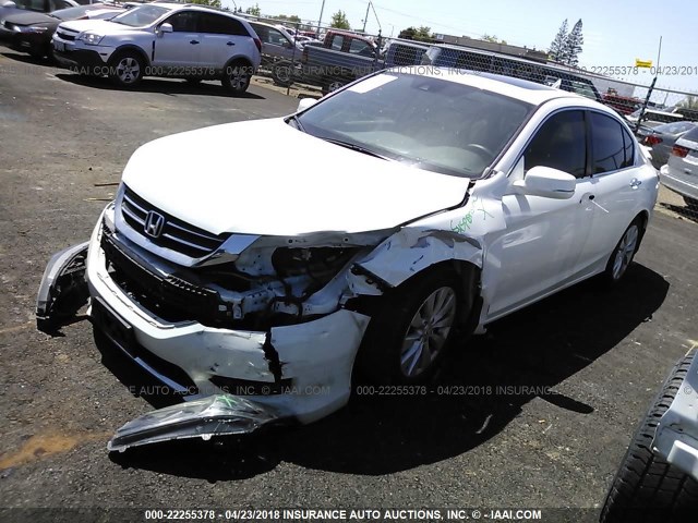 1HGCR2F83FA183636 - 2015 HONDA ACCORD EXL WHITE photo 2