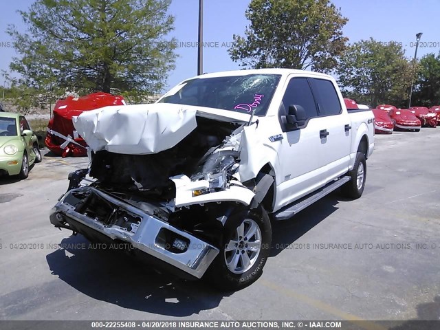 1FTEW1EG2FFC70739 - 2015 FORD F150 SUPERCREW WHITE photo 2