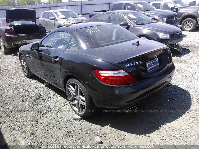 WDDPK4HA4DF055234 - 2013 MERCEDES-BENZ SLK 250 BLACK photo 3