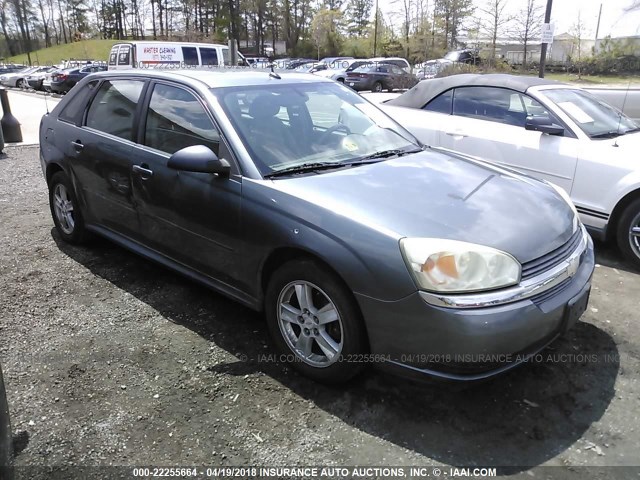 1G1ZT64804F191870 - 2004 CHEVROLET MALIBU MAXX LS GRAY photo 1
