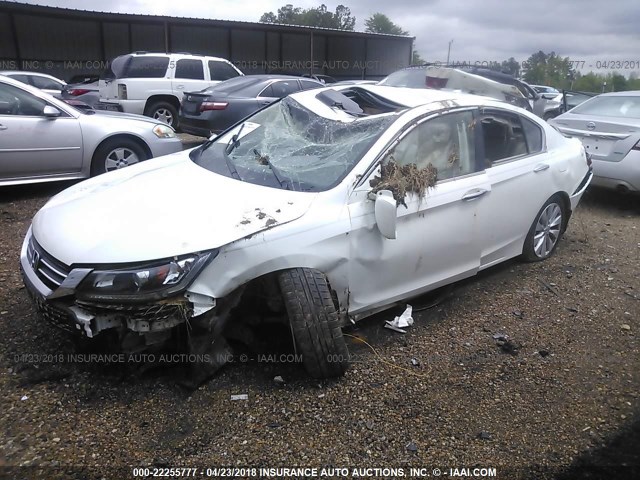 1HGCR2F83DA204000 - 2013 HONDA ACCORD EXL WHITE photo 2