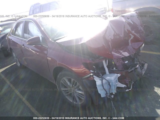 4T1BF1FK4FU928476 - 2015 TOYOTA CAMRY LE/XLE/SE/XSE RED photo 1