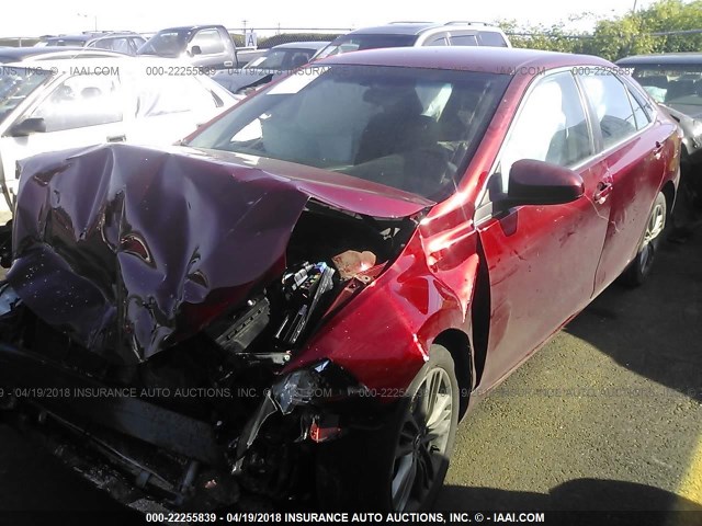 4T1BF1FK4FU928476 - 2015 TOYOTA CAMRY LE/XLE/SE/XSE RED photo 2