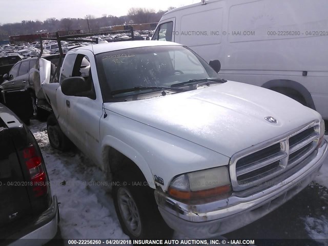 1B7GG22N3YS580634 - 2000 DODGE DAKOTA WHITE photo 1