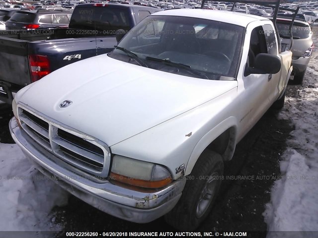 1B7GG22N3YS580634 - 2000 DODGE DAKOTA WHITE photo 2