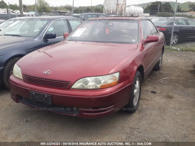 JT8GK13T6R0044875 - 1994 LEXUS ES 300 MAROON photo 2