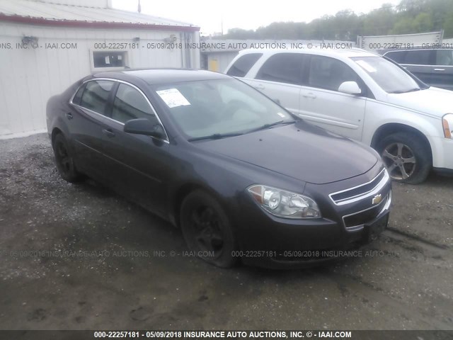 1G1ZB5E08CF321916 - 2012 CHEVROLET MALIBU LS 灰色 照片 1
