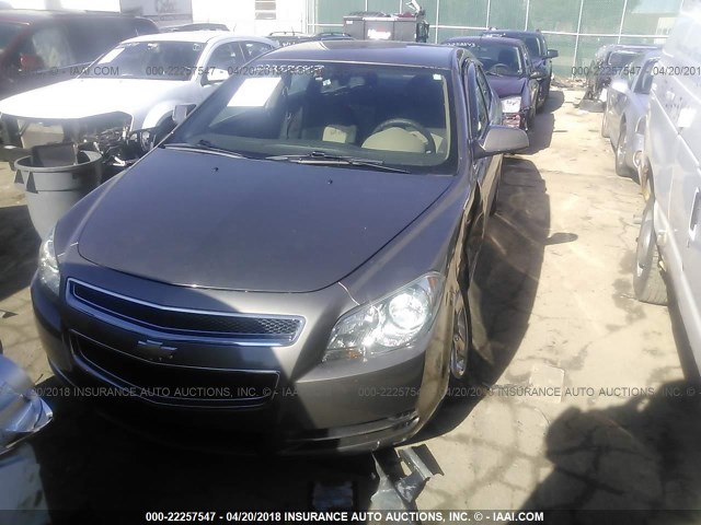 1G1ZC5EB6AF107731 - 2010 CHEVROLET MALIBU 1LT TAN photo 2