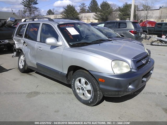 KM8SC13D05U871416 - 2005 HYUNDAI SANTA FE GLS/LX GRAY photo 1