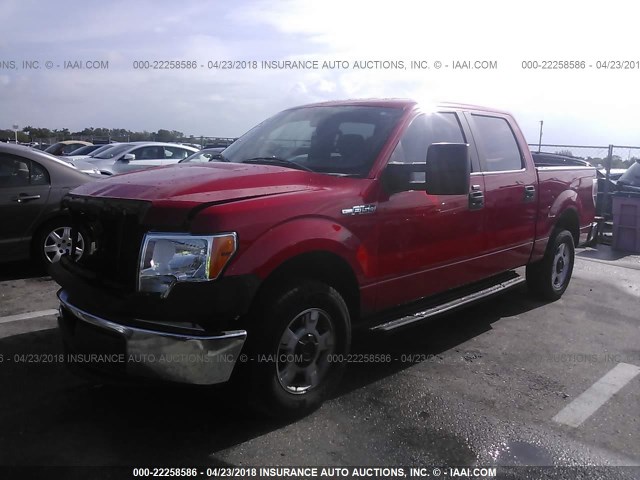 1FTEW1CM9DKE26692 - 2013 FORD F150 SUPERCREW RED photo 2