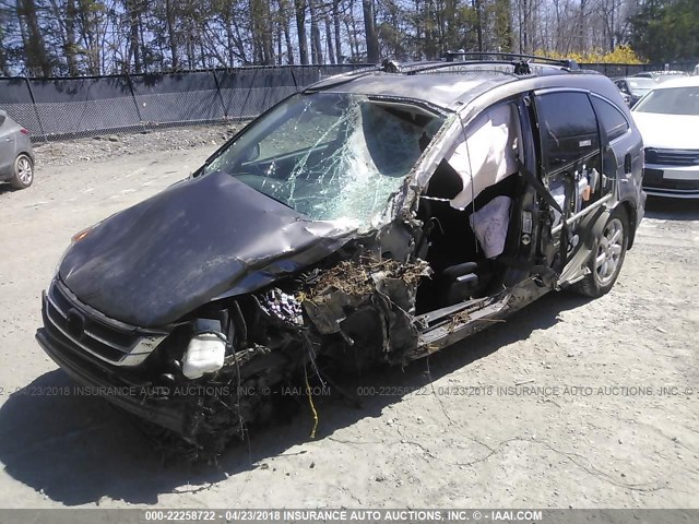 5J6RE4H48BL096964 - 2011 HONDA CR-V SE BROWN photo 2