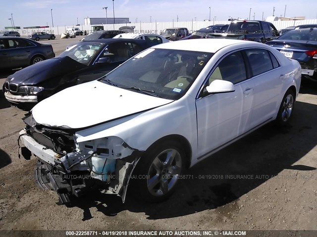 1G1ZC5E07A4155247 - 2010 CHEVROLET MALIBU 1LT 白色 照片 2