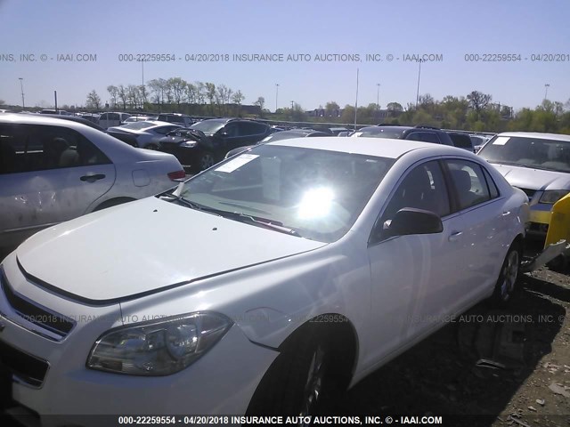 1G1ZB5E12BF230504 - 2011 CHEVROLET MALIBU LS 白色 照片 2