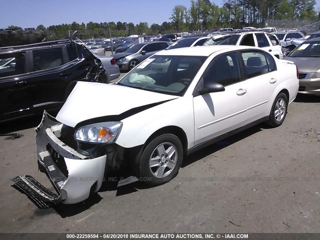 1G1ZT54835F144067 - 2005 CHEVROLET MALIBU LS თეთრი ფოტო 2