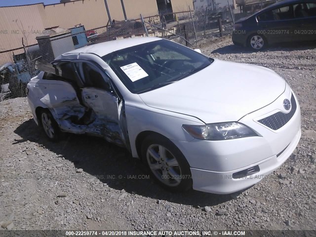 4T1BE46K19U918268 - 2009 TOYOTA CAMRY SE/LE/XLE WHITE photo 1