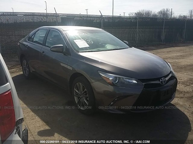 4T1BF1FK5GU593049 - 2016 TOYOTA CAMRY LE/XLE/SE/XSE Gris photo 1