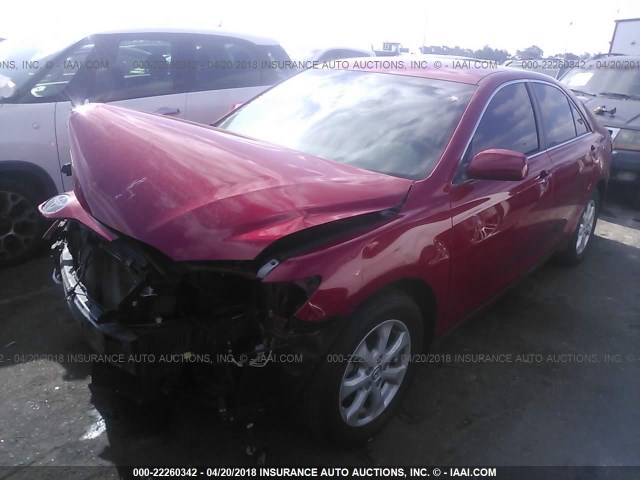 4T4BF3EKXBR215384 - 2011 TOYOTA CAMRY SE/LE/XLE RED photo 2