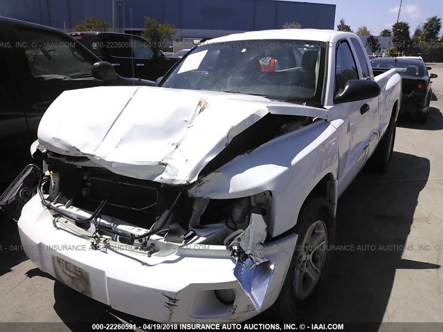 1D7CE3BK1AS151195 - 2010 DODGE DAKOTA SXT WHITE photo 2