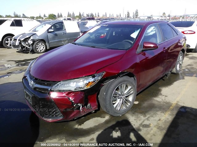 4T1BF1FK6FU888711 - 2015 TOYOTA CAMRY LE/XLE/SE/XSE მუქწითელი ფოტო 2