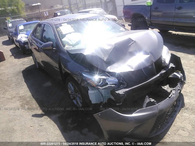 4T1BF1FK1HU305268 - 2017 TOYOTA CAMRY LE/XLE/SE/XSE GRAY photo 1