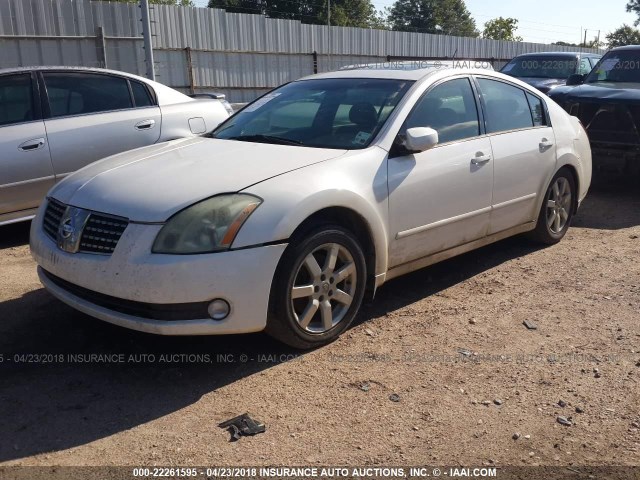 1N4BA41E76C811329 - 2006 NISSAN MAXIMA SE/SL WHITE photo 2