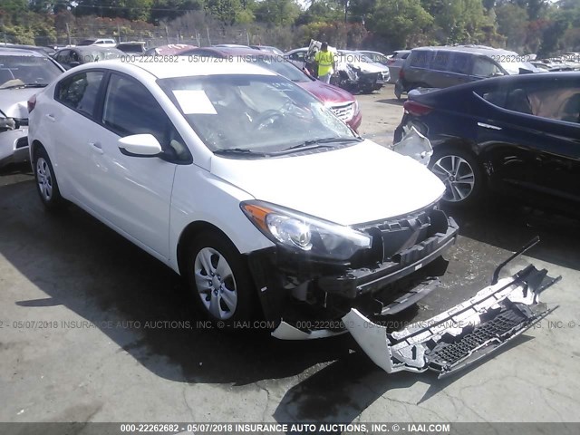 KNAFK4A67G5442704 - 2016 KIA FORTE LX WHITE photo 1