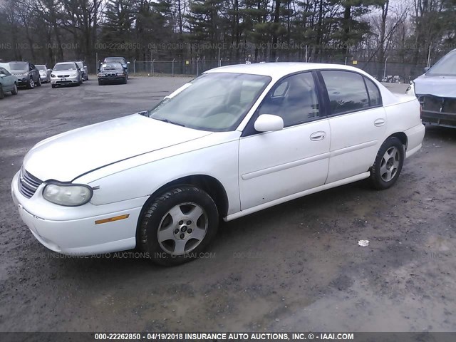 1G1NE52J03M698805 - 2003 CHEVROLET MALIBU LS Ağ foto 2