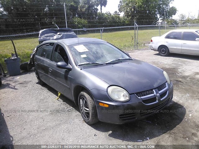 1B3ES26C33D115591 - 2003 DODGE NEON SE GRAY photo 1