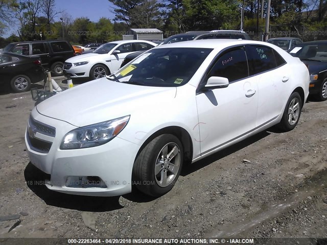 1G11C5SAXDF277488 - 2013 CHEVROLET MALIBU 1LT WHITE photo 2