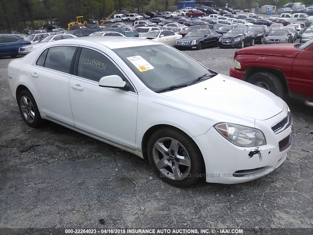 1G1ZC5E03AF187147 - 2010 CHEVROLET MALIBU 1LT თეთრი ფოტო 1