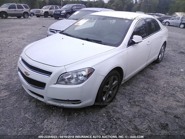 1G1ZC5E03AF187147 - 2010 CHEVROLET MALIBU 1LT თეთრი ფოტო 2
