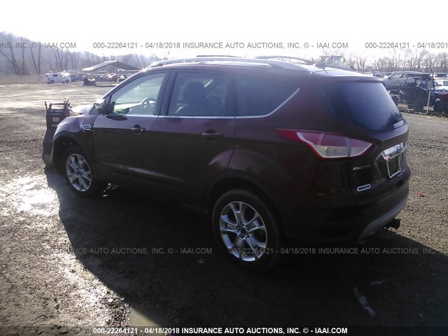 1FMCU9J91GUC38148 - 2016 FORD ESCAPE TITANIUM ORANGE photo 3